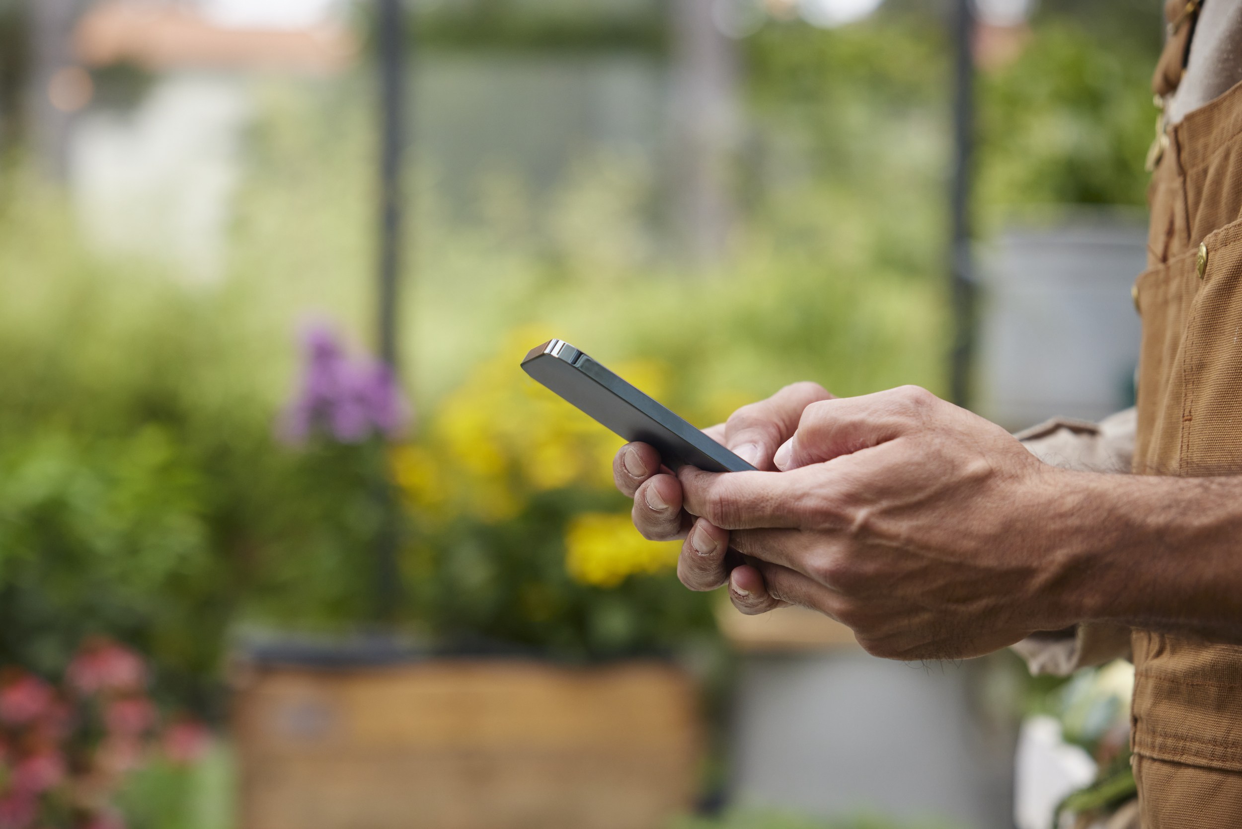 A person holds a mobile phone in a greenhouse