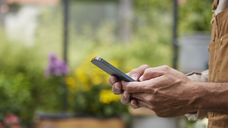 A person holds a mobile phone in a greenhouse