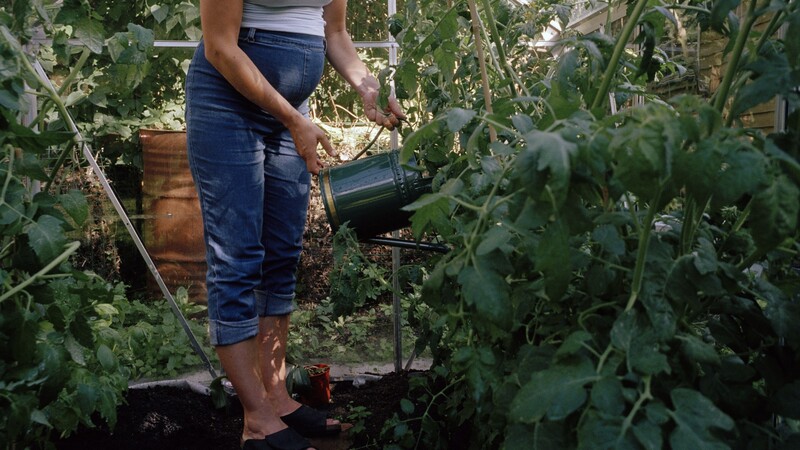  Woman watering plants.