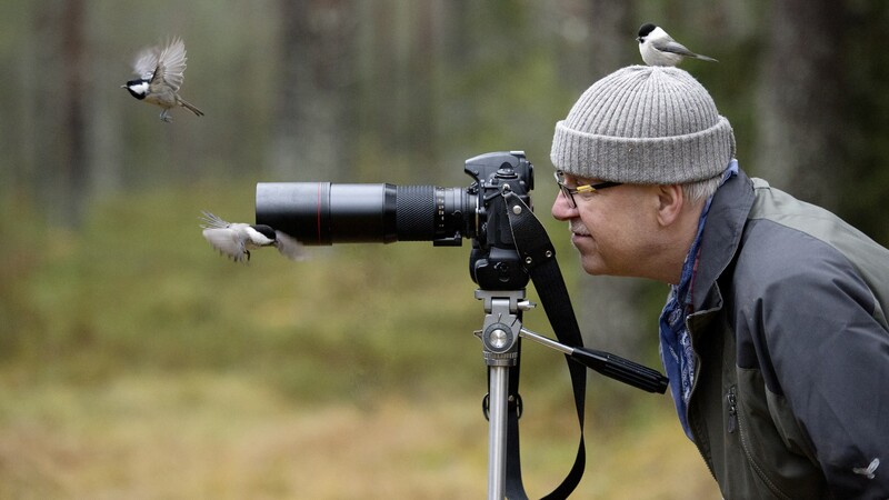 A man photographs in the forest with birds around him