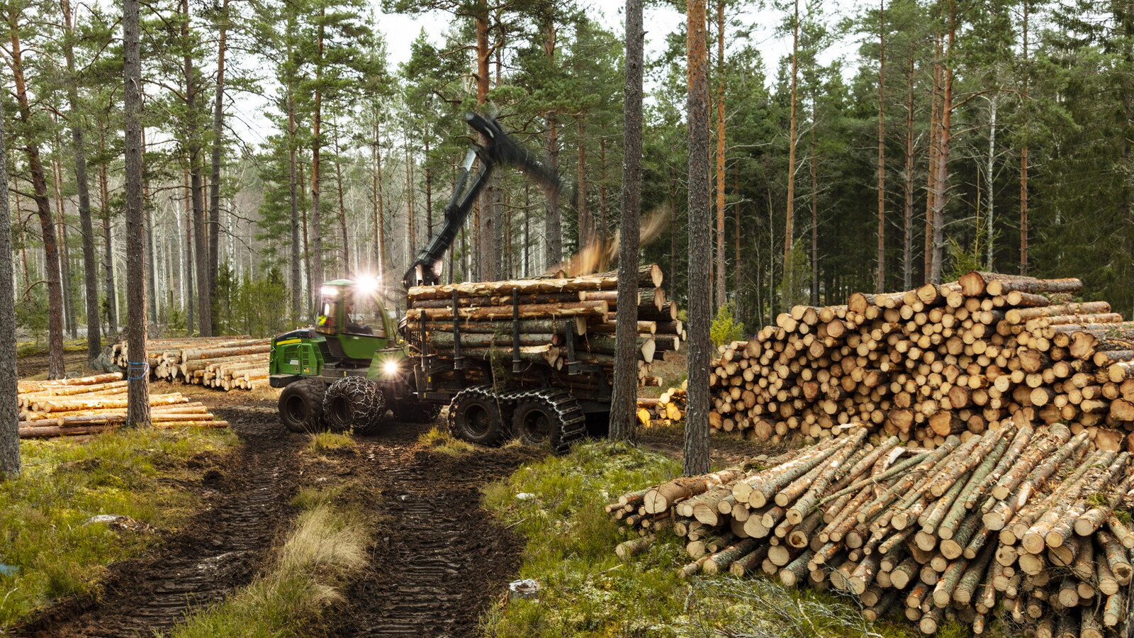 Skogsavverkning med skogsmaskin